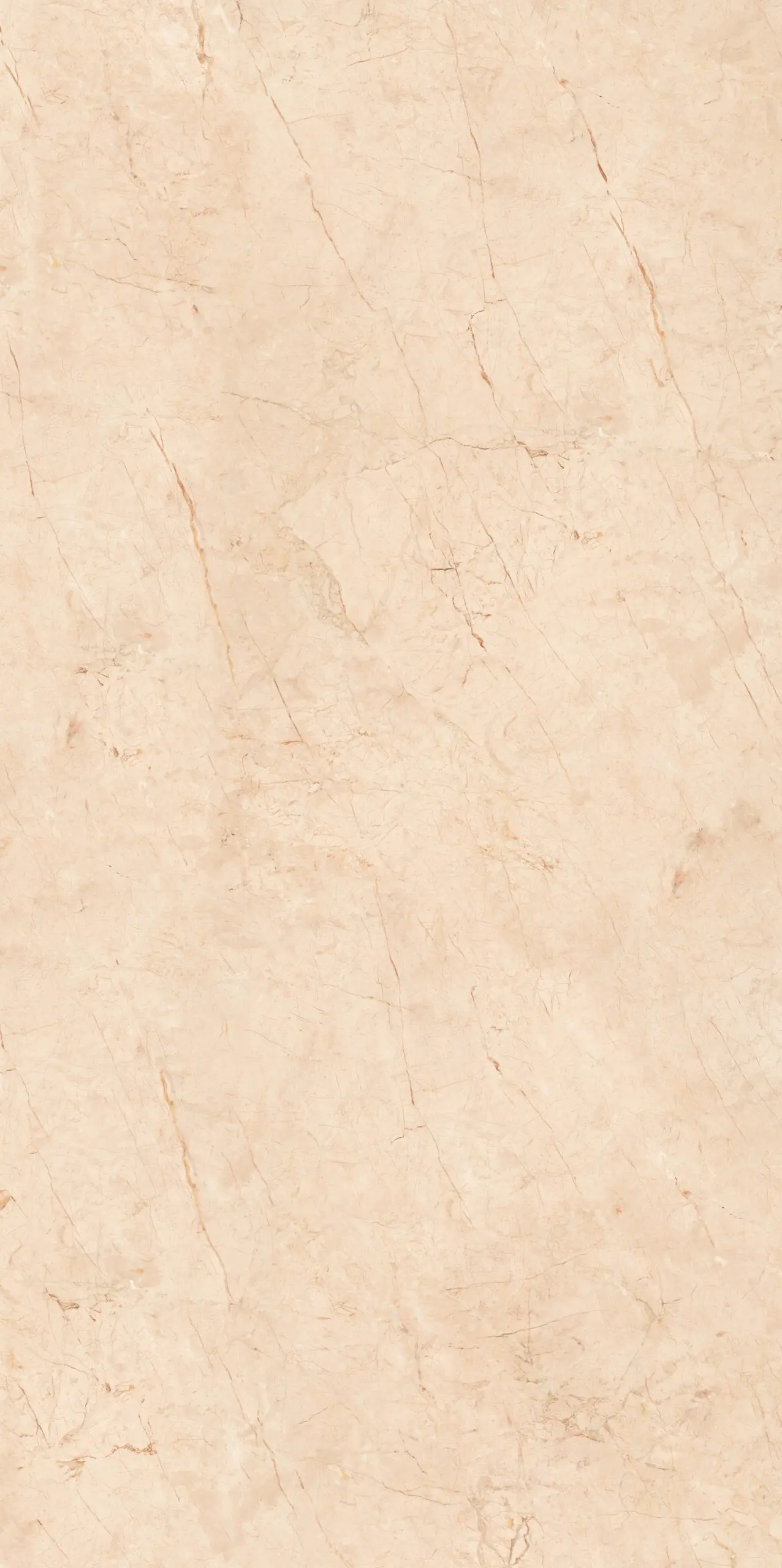 Royal Beige 2