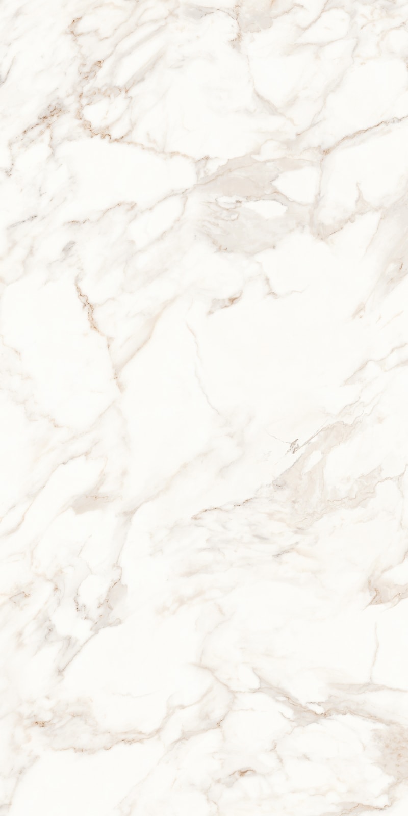 Calcatta | Glazed Porcelain Tile 3