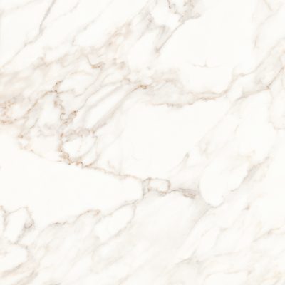 Calcatta | Glazed Porcelain Tile featured