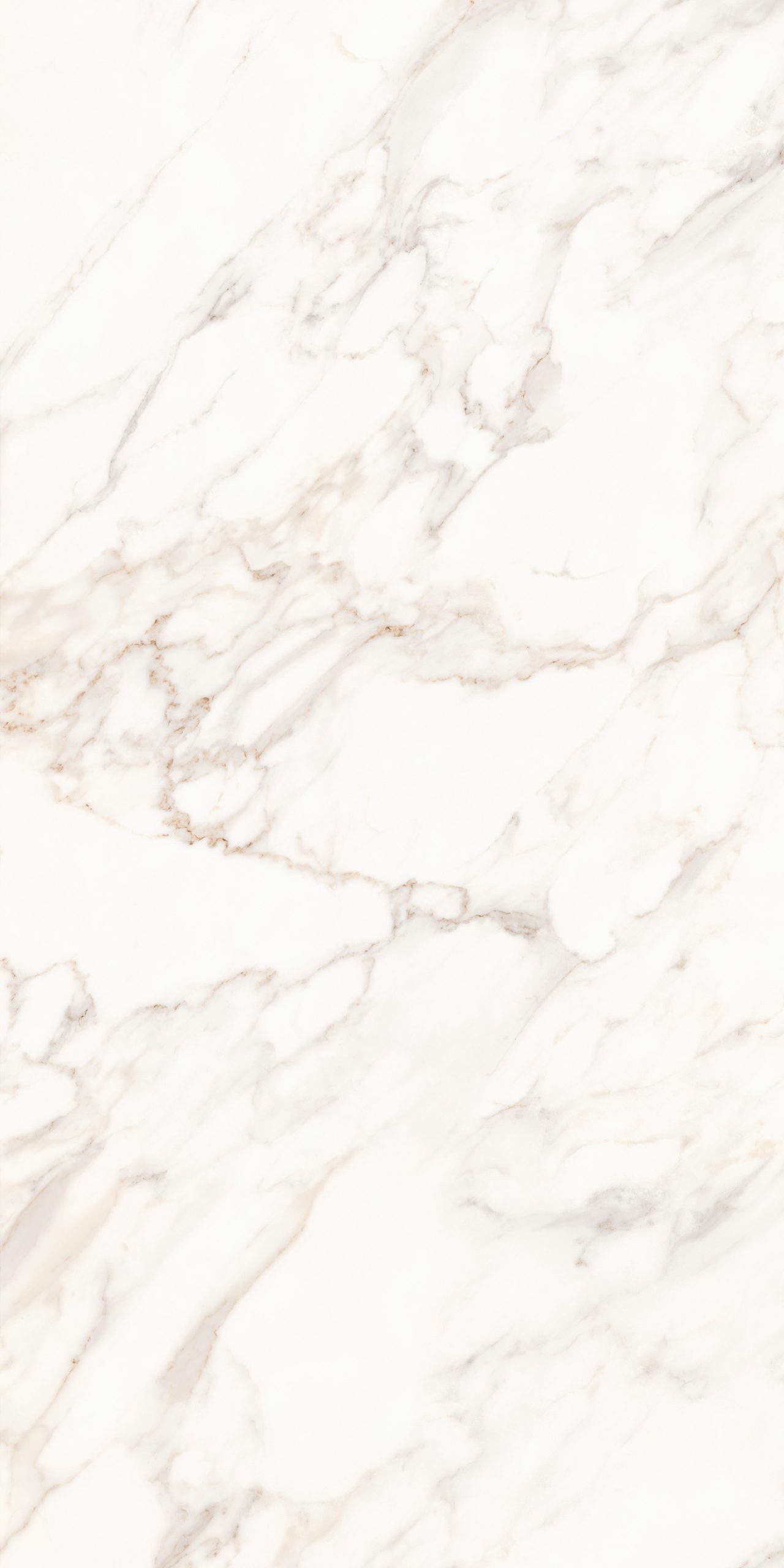 Calcatta | Glazed Porcelain Tile v1