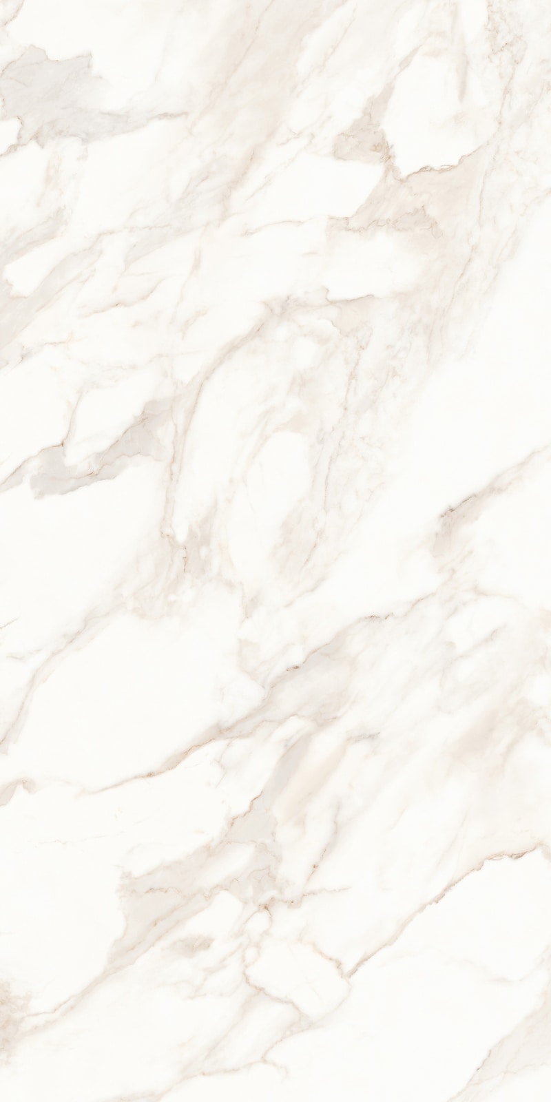 Calcatta | Glazed Porcelain Tile v3