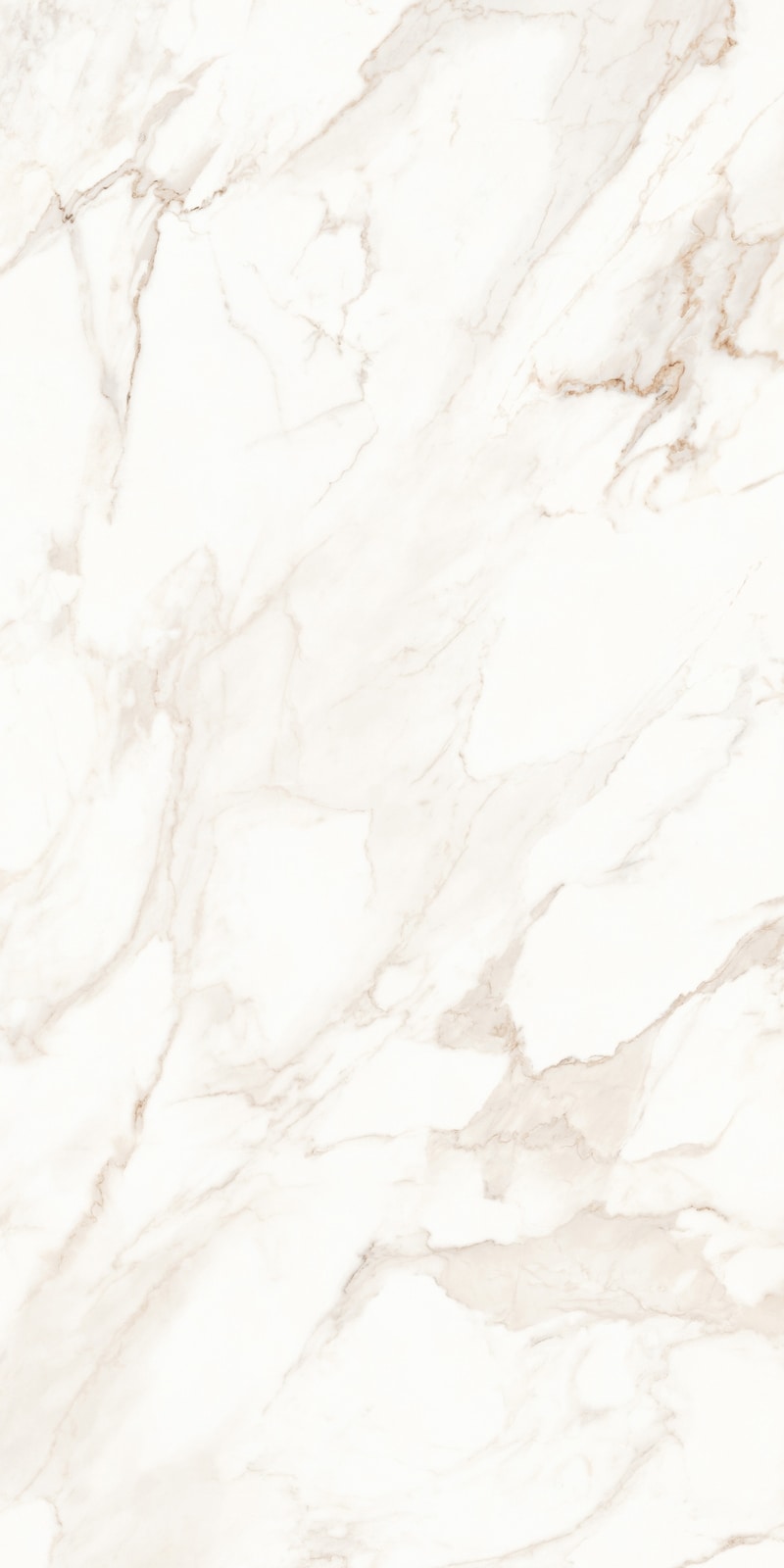 Calcatta | Glazed Porcelain Tile v4