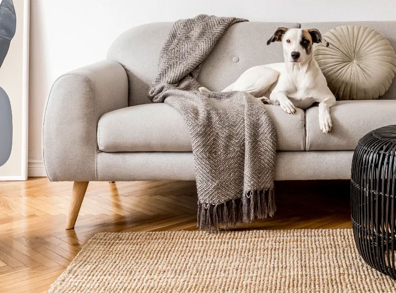 Pet Friendly Flooring