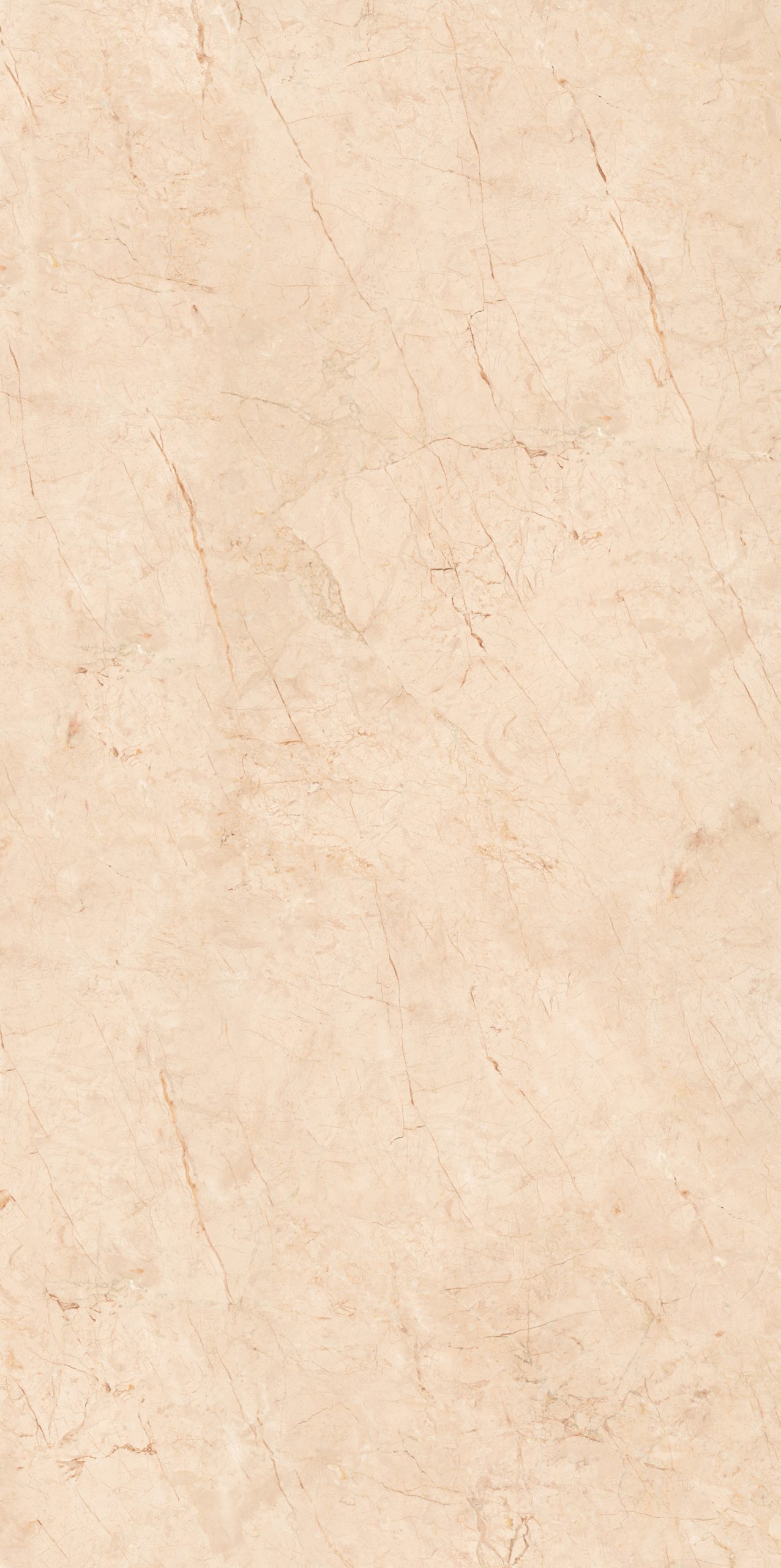 Royal Beige 2
