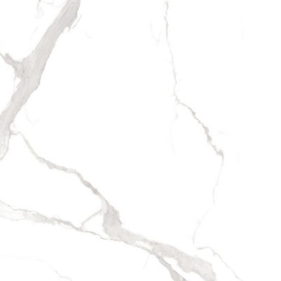 Statuario Glazed Porcelain Tile featured