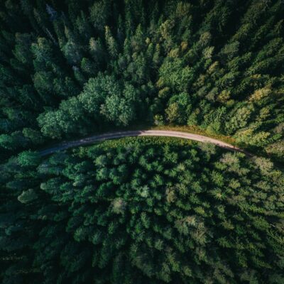 Sustainable Flooring For Commercial Projects