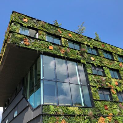 Sustainable Flooring in Hospitality